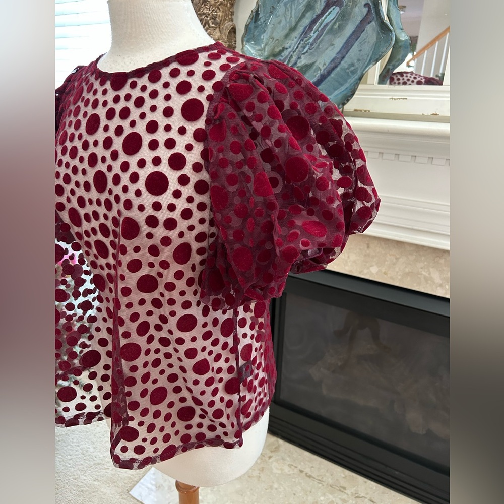 Haute Monde Burgundy Puff Sleeve Sheer Top - Picture 5 of 8